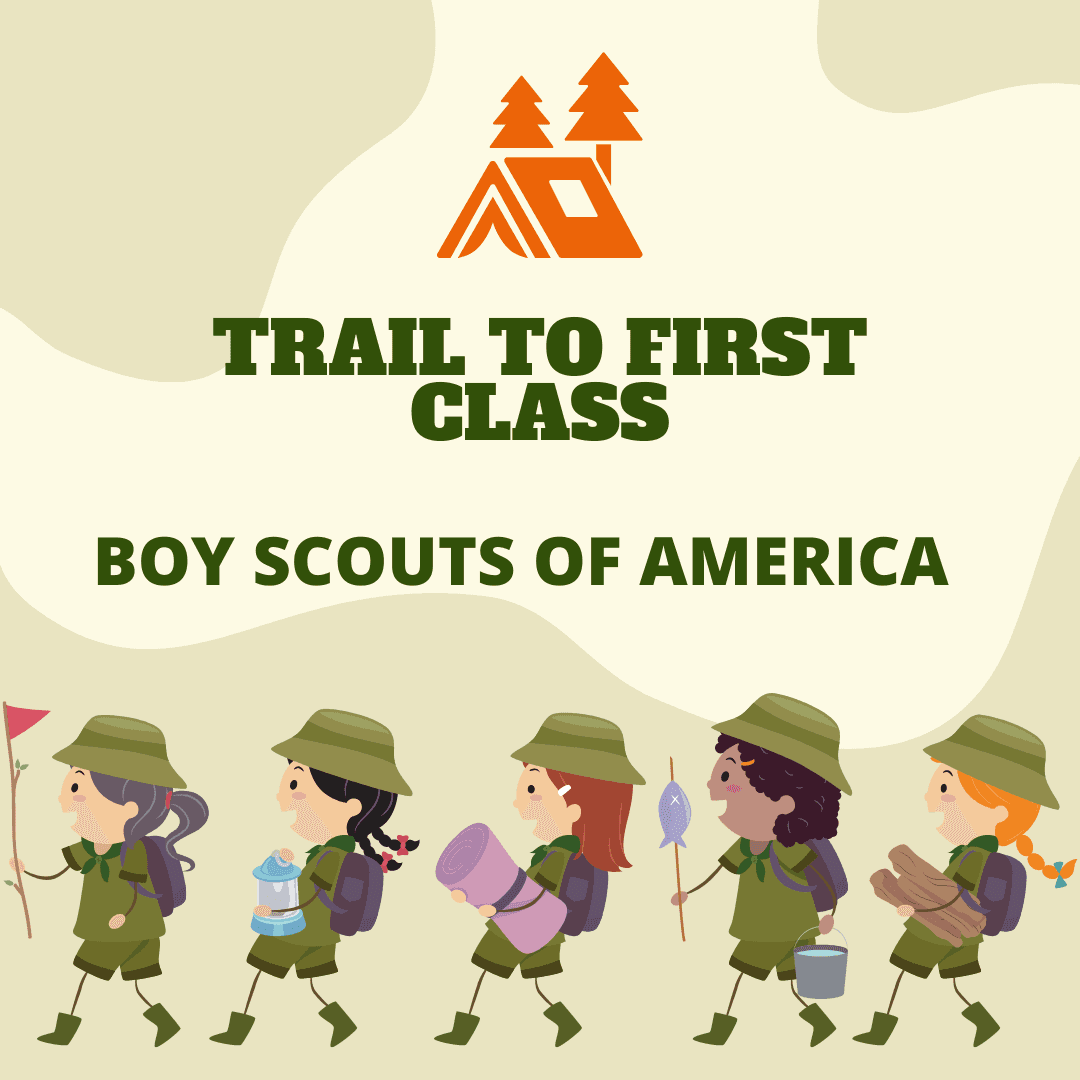Boy Scout's Project Earns Leader's Praise