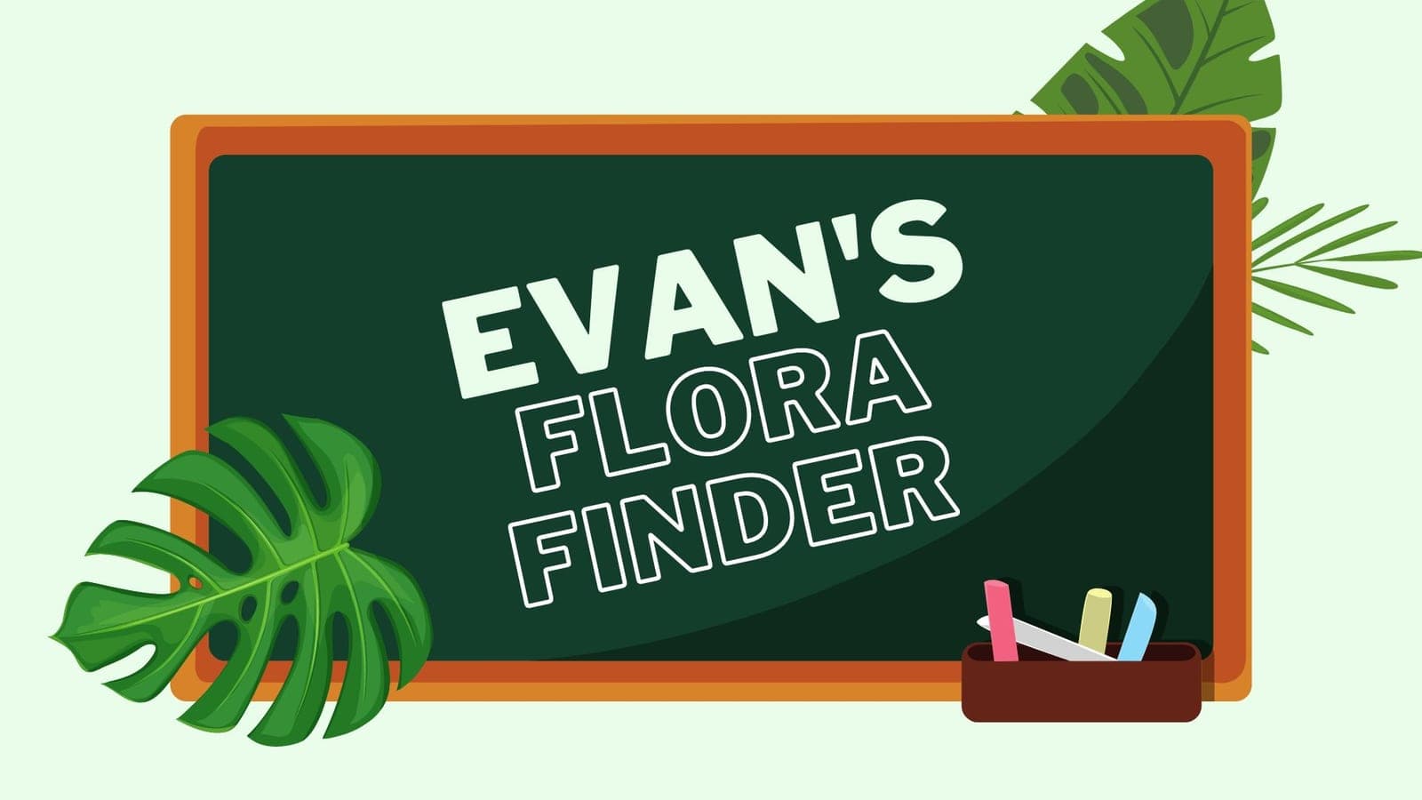 Evan's Plant Identification Project Wins NYU Admission
